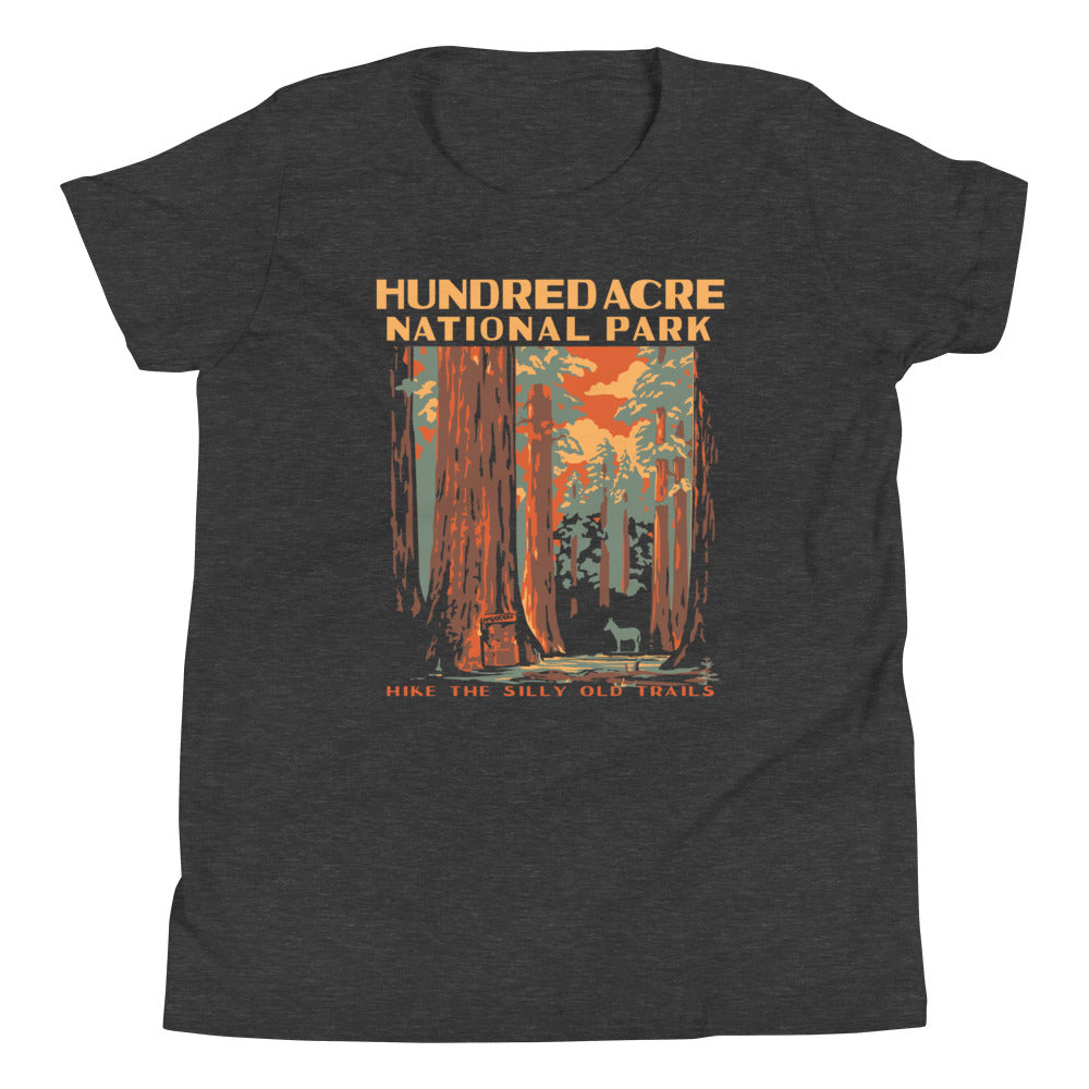Hundred Acre National Park Kid's Youth Tee Hoodie, Sweatshirt | PureTeeCo.com (Image 3)