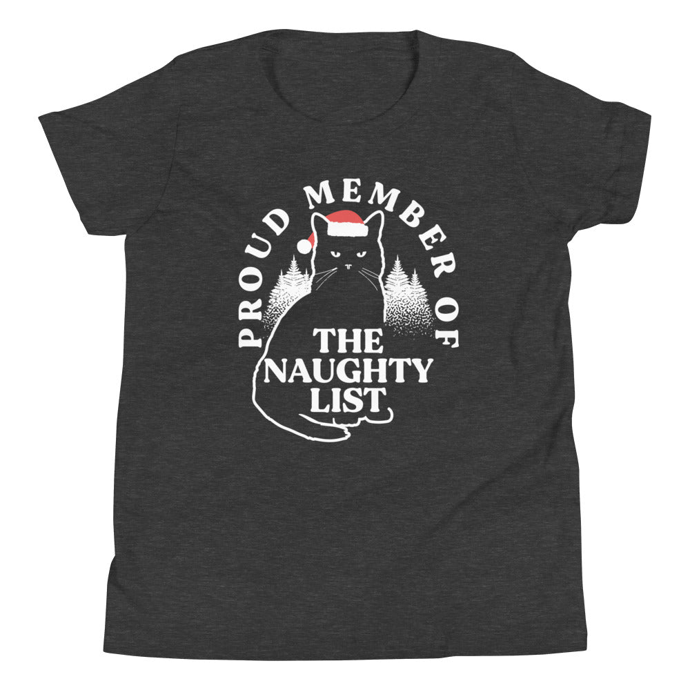The Naughty List Kid's Youth Tee Hoodie, Sweatshirt | PureTeeCo.com (Image 4)