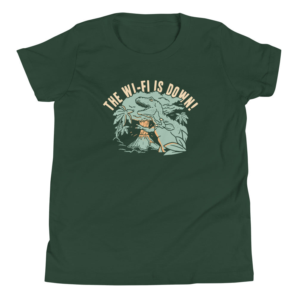 The Wi-Fi Is Down! Kid's Youth Tee Hoodie, Sweatshirt | PureTeeCo.com (Image 3)