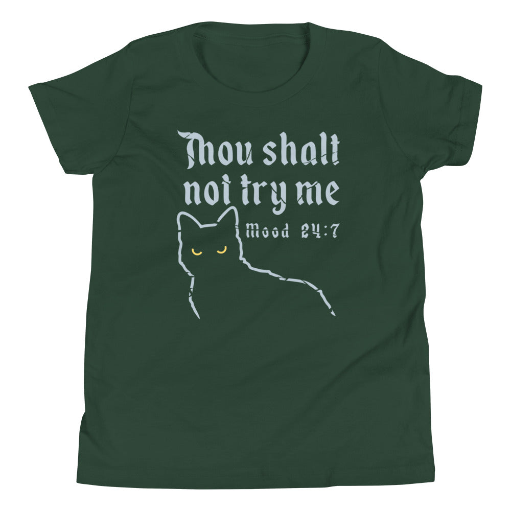 Thou Shalt Not Try Me Kid's Youth Tee Hoodie, Sweatshirt | PureTeeCo.com (Image 3)