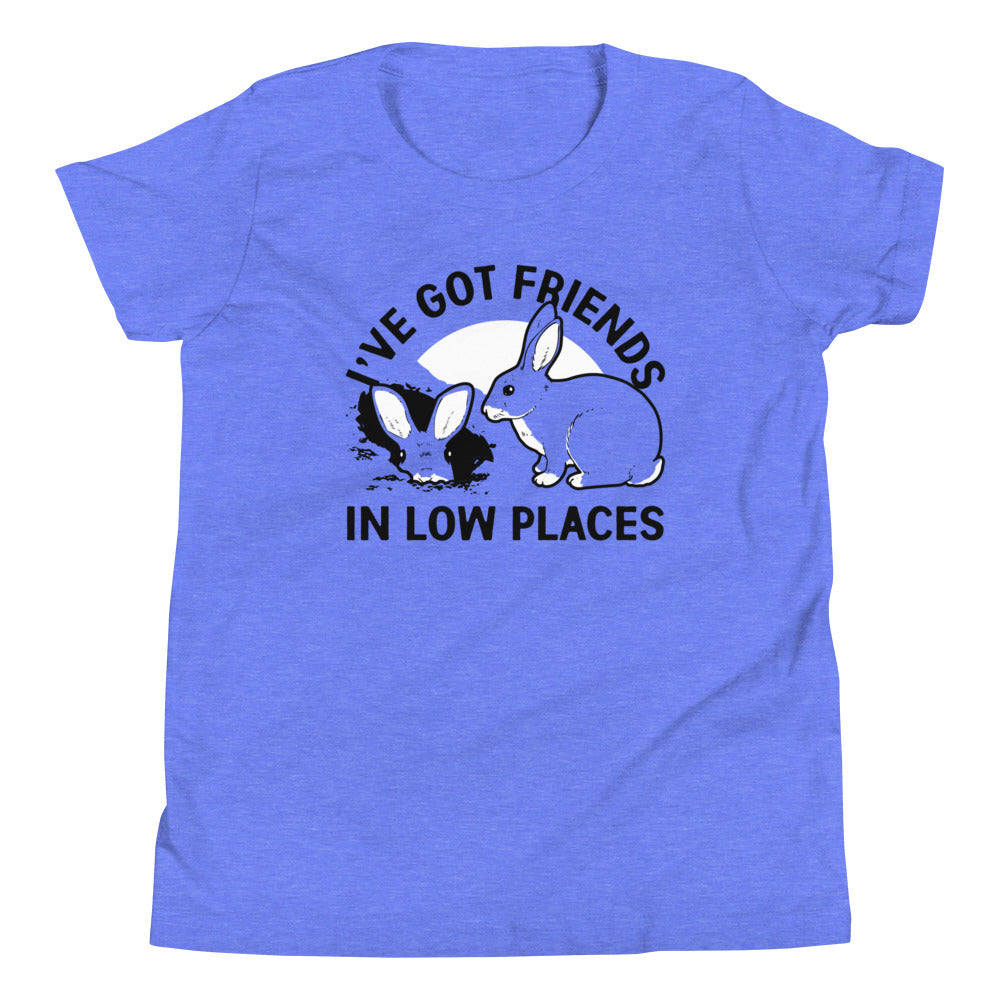 I've Got Friends In Low Places Kid's Youth Tee Hoodie, Sweatshirt | PureTeeCo.com (Image 3)
