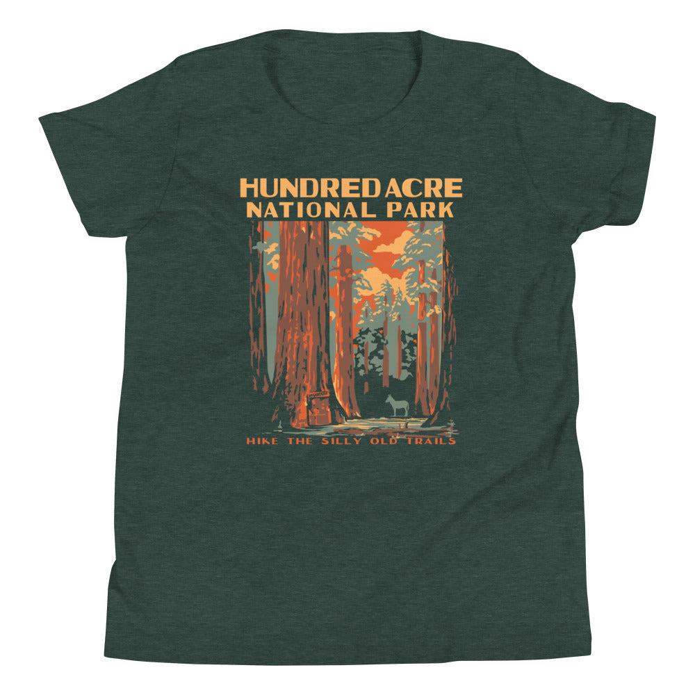 Hundred Acre National Park Kid's Youth Tee Hoodie, Sweatshirt | PureTeeCo.com (Image 4)