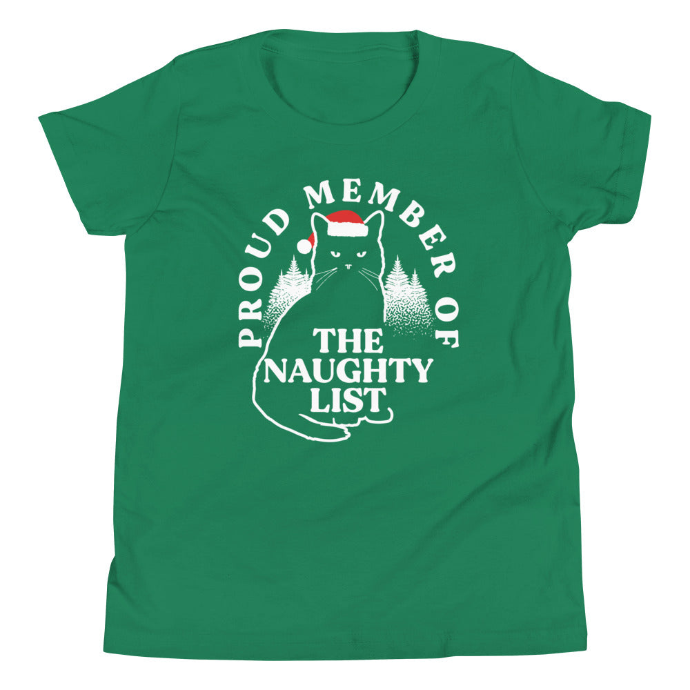 The Naughty List Kid's Youth Tee Hoodie, Sweatshirt | PureTeeCo.com (Image 1)