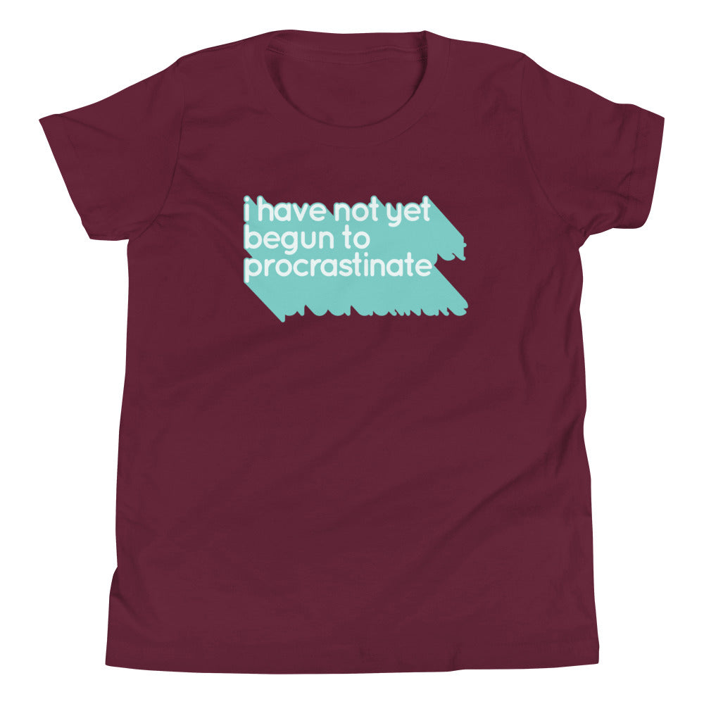 Not Begun To Procrastinate Kid's Youth Tee Hoodie, Sweatshirt | PureTeeCo.com (Image 3)