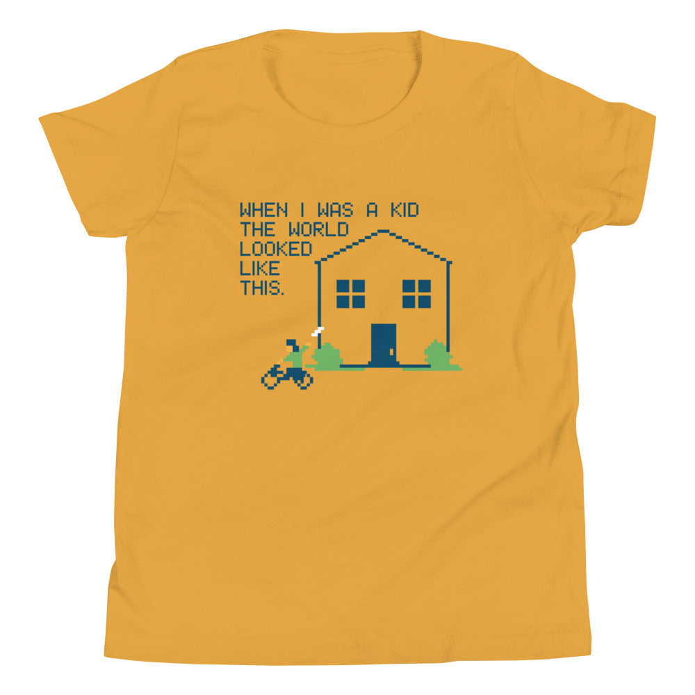 When I Was A Kid The World Kid's Youth Tee Hoodie, Sweatshirt | PureTeeCo.com (Image 2)