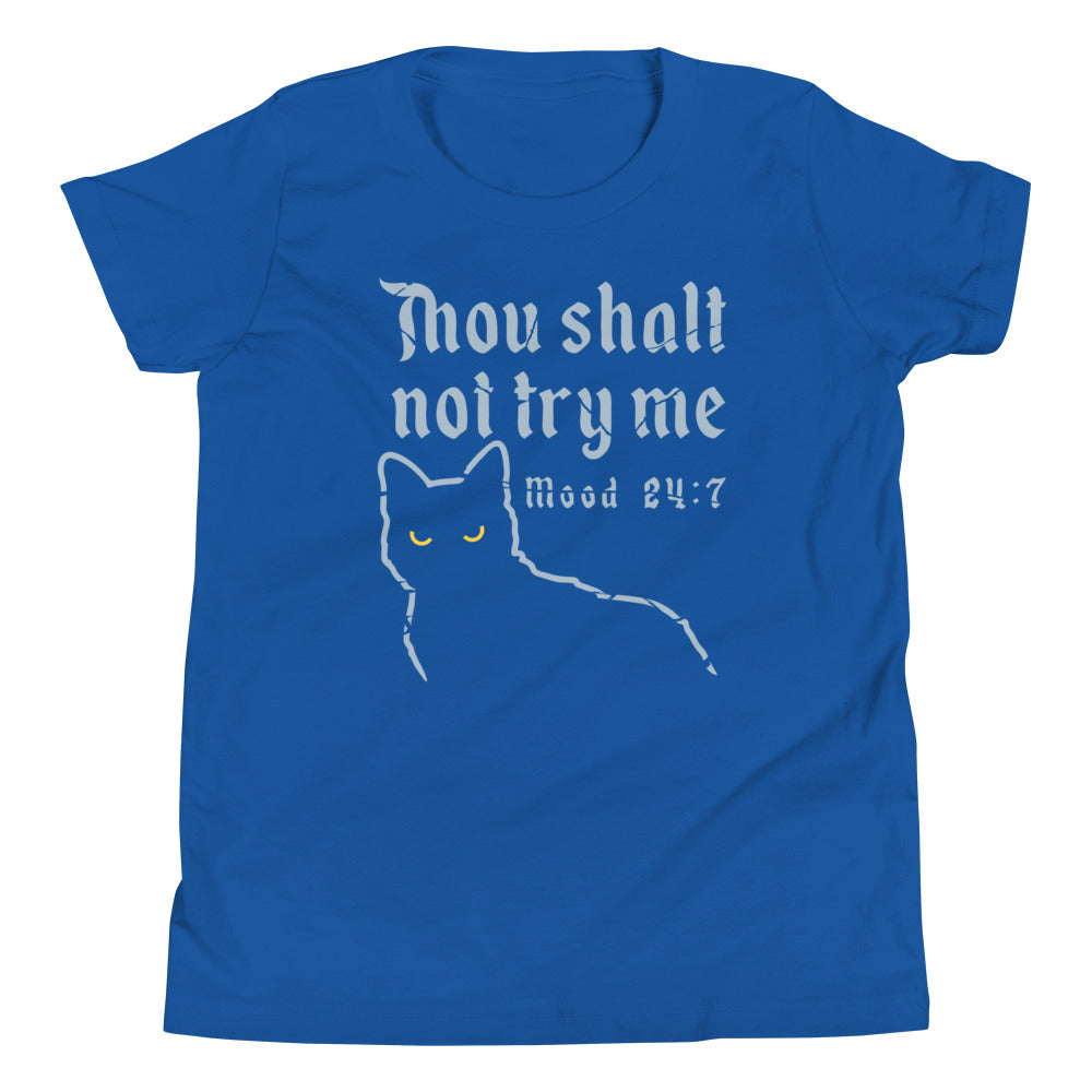 Thou Shalt Not Try Me Kid's Youth Tee Hoodie, Sweatshirt | PureTeeCo.com (Image 4)